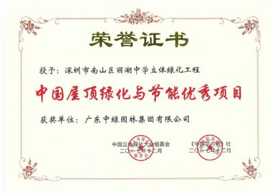 國(guó)家級(jí)優(yōu)秀設(shè)計(jì)獎(jiǎng)1