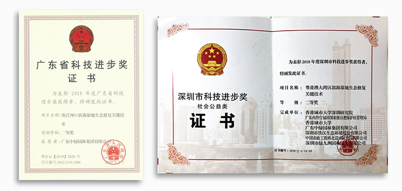 科技進(jìn)步獎(jiǎng)