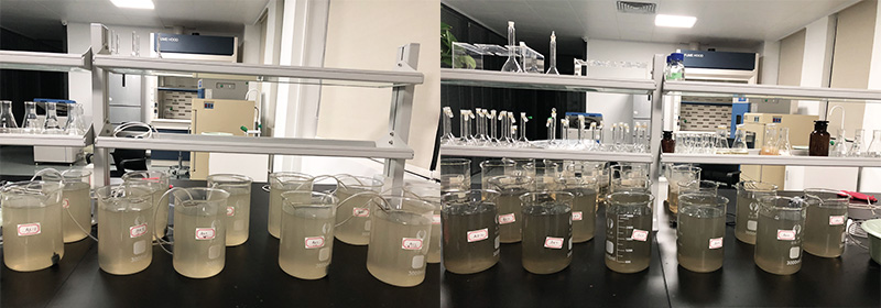 黑臭河道治理中的生物修復(fù)技術(shù)