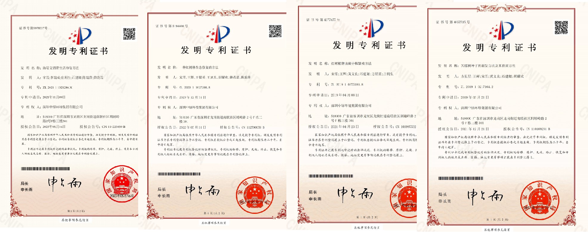 發(fā)明專(zhuān)利第一頁(yè)